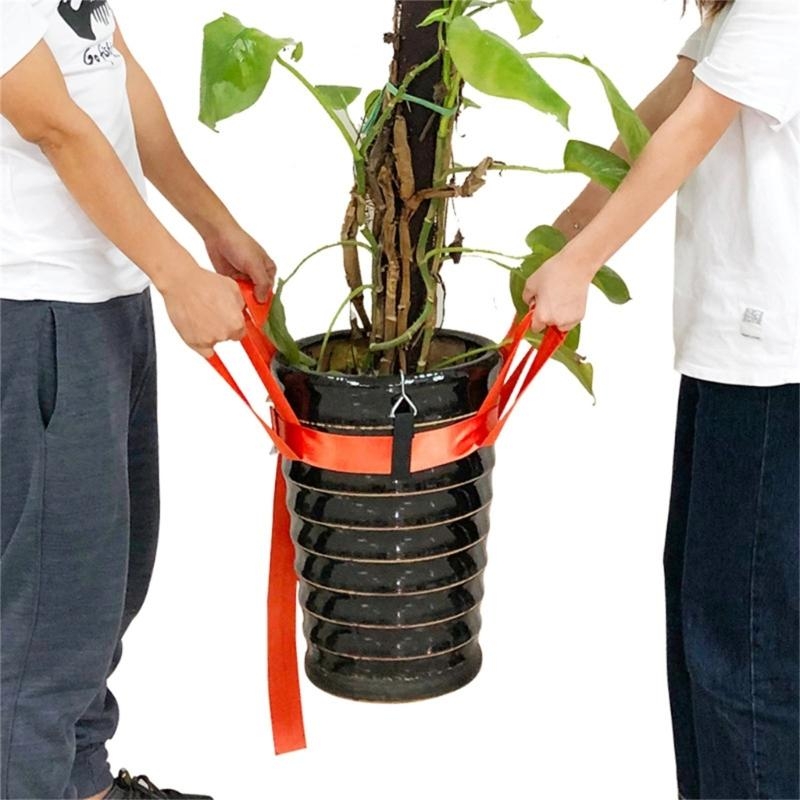 Correa elevación plantas mudan - Heavy Equipment Transporter reseña y precio